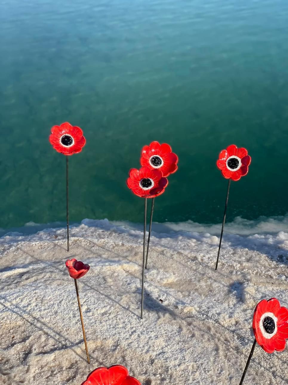Ceramic poppies 1