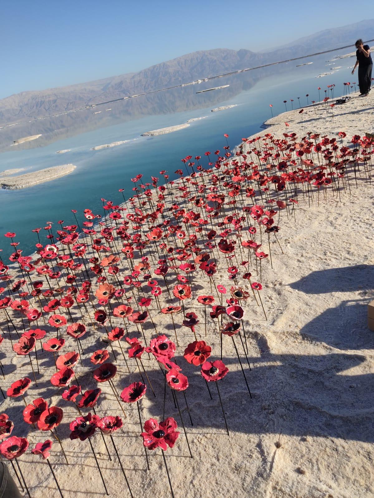 Ceramic poppies 3